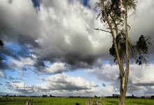 西藏队淘汰广西队，晋级光芒万丈