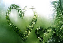 伯恩茅斯遭遇连败，士气低迷形势不妙