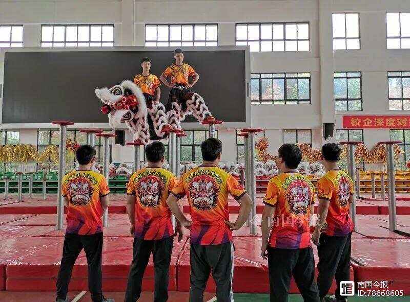 雄狮队凭借团队合作赢得胜利